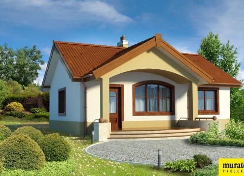 № 1383 Купить Проект дома Даинти. Закажите готовый проект № 1383 в Пскове, цена 22835 руб.